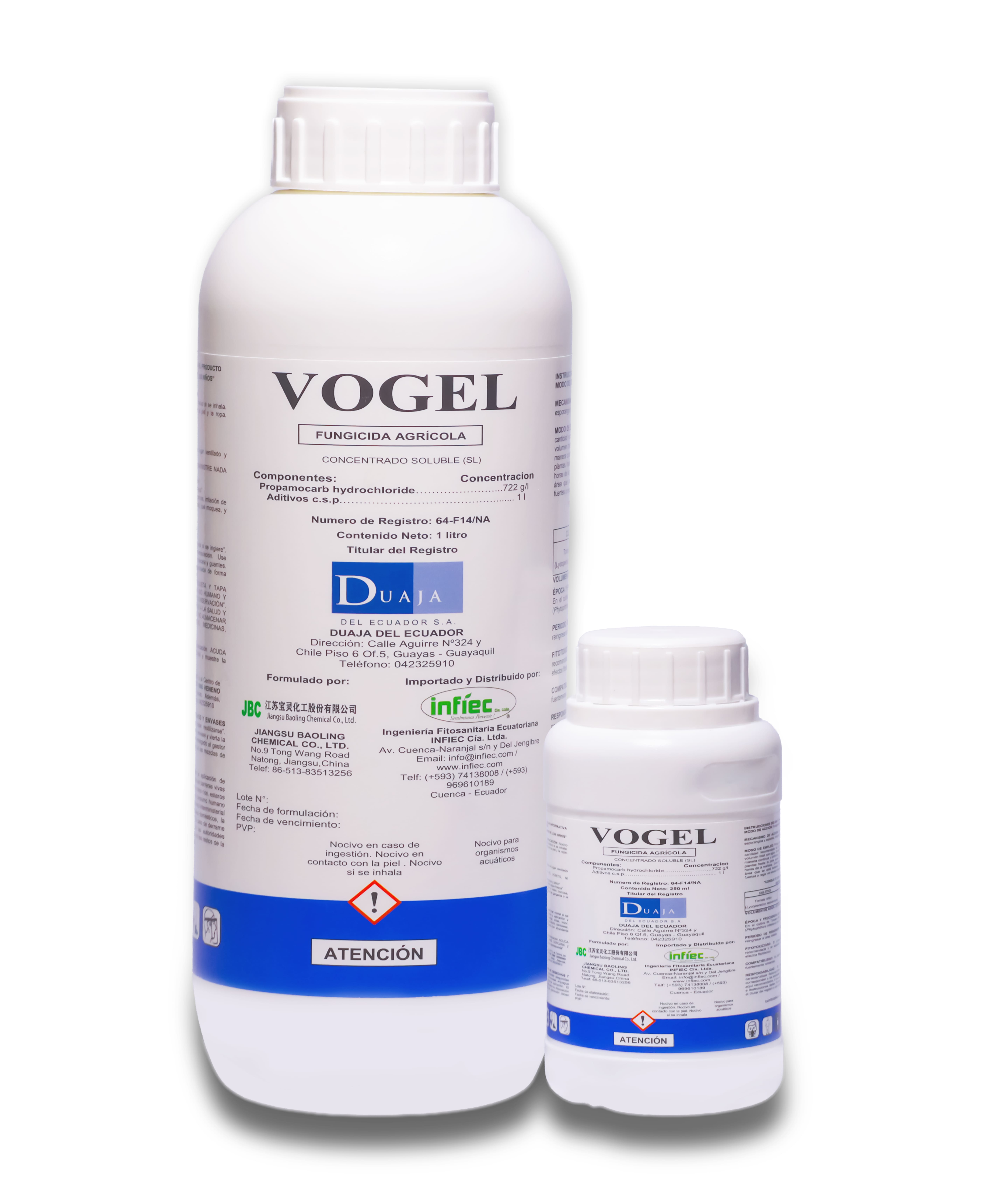 VOGEL